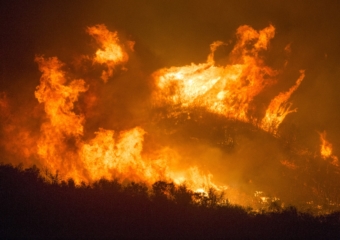 Los Padres wildfire 340x240 Funding is slow but always available for disaster recovery projects