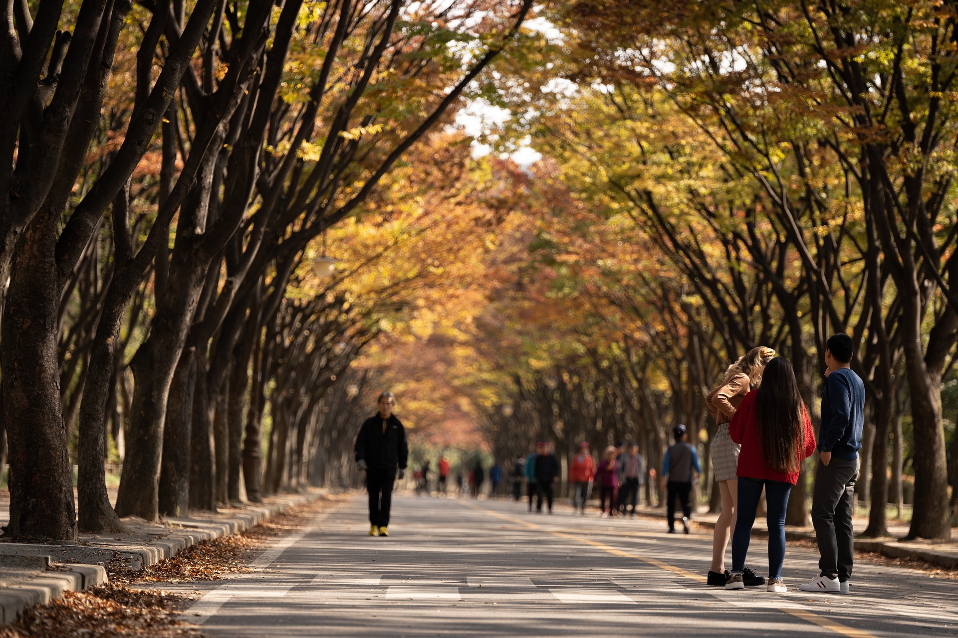 Large park projects continue to launch because of ample funding