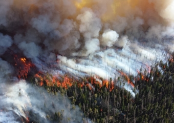 forest fire 340x240 Government leaders seek private sector assistance to combat climate change