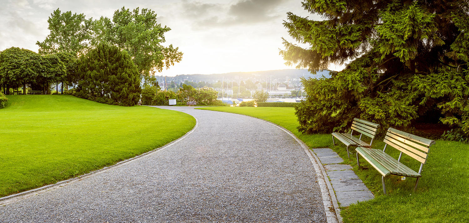 Cities will launch hundreds of expanded and diversified park projects in 2020