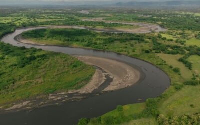 Gov. Abbott makes two appointments to Sulphur River Basin Authority Board of Directors